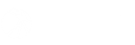 Ridgeview Advisors